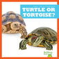 Turtle or Tortoise? - Library Binding