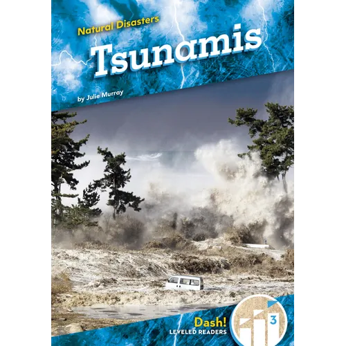 Tsunamis - Library Binding