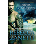 Storm Gathering - Paperback