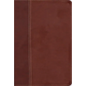 Niv, Cultural Backgrounds Study Bible (Context Changes Everything), Leathersoft, Brown, Red Letter: Bringing to Life the Ancient World of Scripture - Imitation Leather