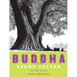 Buddha 7: Prince Ajatasattu - Paperback