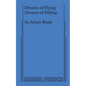 Dreams of Flying Dreams of Falling - Paperback