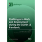 Challenges in Work and Employment during the COVID-19 Pandemic - Hardcover