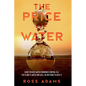 The Price of Water - Paperback