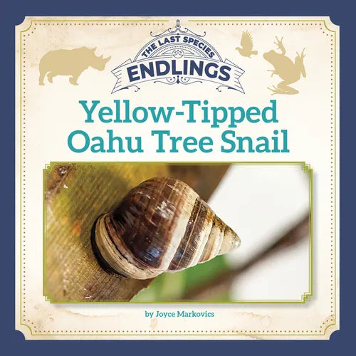 Yellow-Tipped Oahu Tree Snail - Paperback