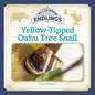 Yellow-Tipped Oahu Tree Snail - Paperback