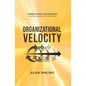 Organizational Velocity: Turbocharge Your Business to Stay Ahead of the Curve - Paperback