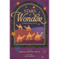 Stars of Wonder: A Children's Christmas Adventure - Paperback
