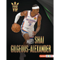 Meet Shai Gilgeous-Alexander: Oklahoma City Thunder Superstar - Library Binding
