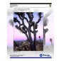 Visitor Vehicle Emissions Study: Joshua Tree National Park- Final Report - Paperback