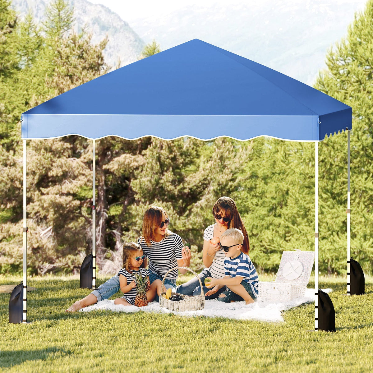 Foldable 10 X 10 Feet Pop up Canopy Tent with Wheeled Bag