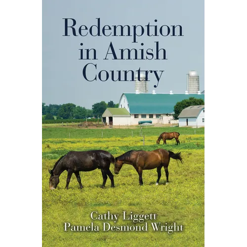 Redemption in Amish Country - Library Binding