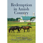 Redemption in Amish Country - Library Binding