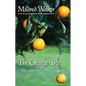 The Orange Tree - Paperback