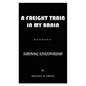 A Freight Train in My Brain: Surviving Schizophrenia - Paperback