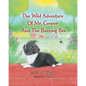 The Wild Adventure of Mr. Cooper and the Buzzing Bee - Paperback