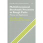 Multidimensional Stochastic Processes as Rough Paths - Hardcover