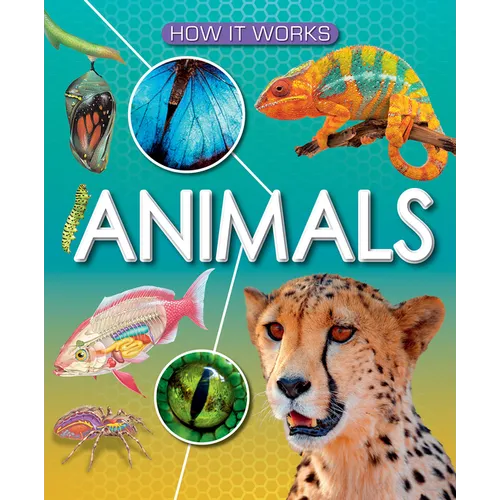 Animals - Library Binding