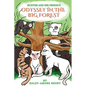 Hunter and His Friends Odessy in the Big Forest - Paperback