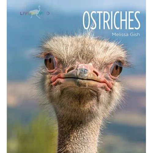 Ostriches - Library Binding