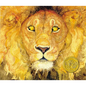 The Lion & the Mouse (Caldecott Medal Winner) - Hardcover