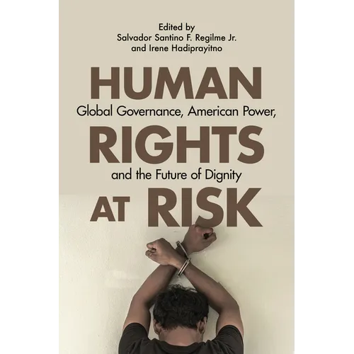 Human Rights at Risk: Global Governance, American Power, and the Future of Dignity - Paperback