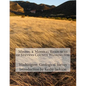 Mining & Mineral Resources of Stevens County Washington - Paperback