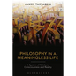 Philosophy in a Meaningless Life - Paperback