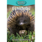 Echidnas - Paperback