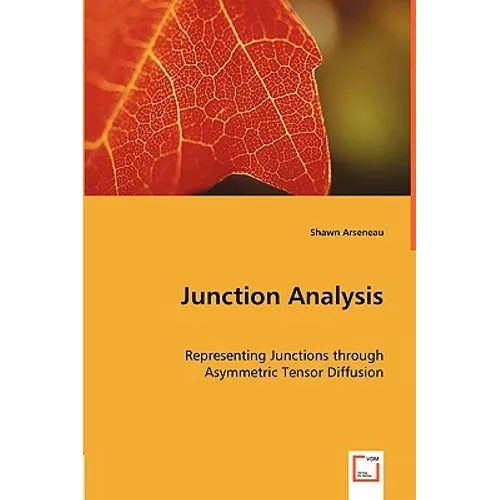 Junction Analysis - Paperback