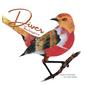 Diver the Mockingbird - Hardcover