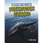 Megalodon and Other Prehistoric Sharks - Hardcover