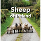 Sheep of Ireland - Hardcover