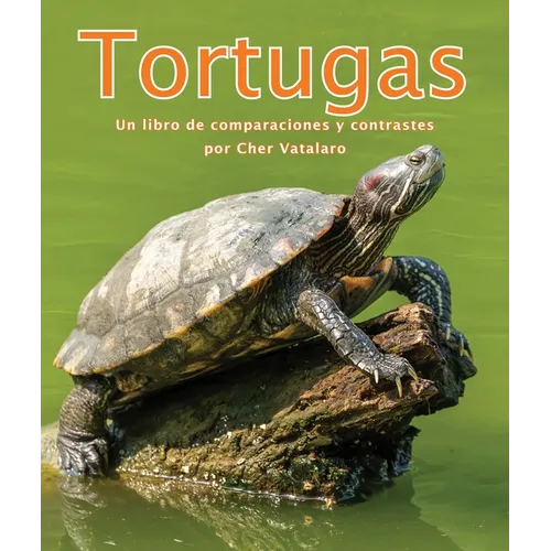 Tortugas: Un Libro de Comparaciones Y Contrastes - Paperback