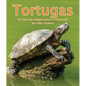 Tortugas: Un Libro de Comparaciones Y Contrastes - Paperback