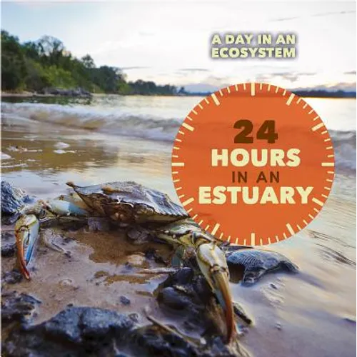 24 Hours in an Estuary - Library Binding