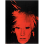 Andy Warhol - Hardcover