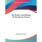 The Mystery And Meaning Of The Mission Of Jesus - Paperback