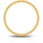 Single Hoop Nose 14k Yellow Gold Filled Nose Hoop Ring