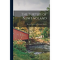 The Turtles of New England - Paperback