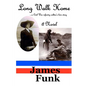 Long Walk Home ...a Civil War infantry soldier's love story - Paperback