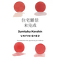 Unfinished - Paperback