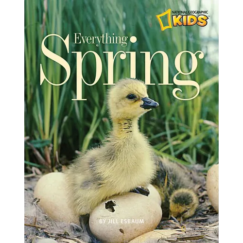 Everything Spring - Paperback