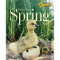 Everything Spring - Paperback