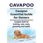 Cavapoo. Cavapoo Essential Guide for Owners. Cavapoo book for training, care, costs, grooming and health. - Paperback