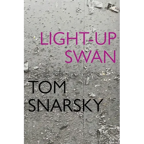 Light-Up Swan - Paperback