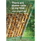 There are queen cells in my hive: - what should I do? - Paperback