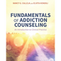 Fundamentals of Addiction Counseling: An Introduction to Clinical Practice - Paperback