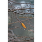 The Quenching - Hardcover