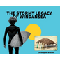 The Stormy Legacy of Windansea - Hardcover